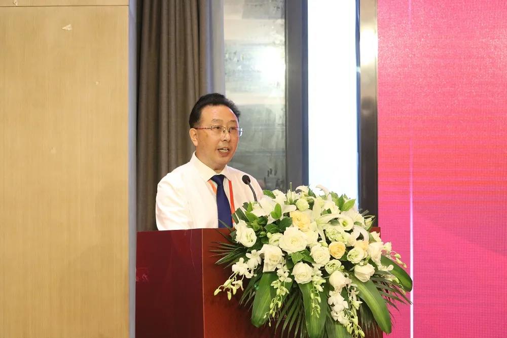 哔哩哔哩视频下载APP设计